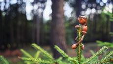 Ultradian ☀️ Original composition - Videoclip.bg