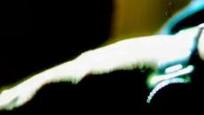 Νότης Σφακιανάκης - Παράλληλα - един до друг - Videoclip.bg