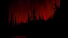 Dark Forest - Videoclip.bg