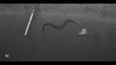 V.F.M.style - Mami - Videoclip.bg