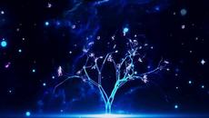 Butterflies - Videoclip.bg