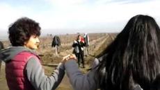 Банкет лозето край Пловдив - Videoclip.bg