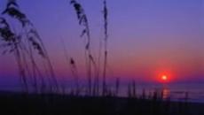 Тъгата и мъката на човек ! Специално от Антоан - Videoclip.bg