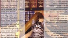 Детски песнички-Чело коте книжки - Videoclip.bg