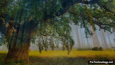 МОЩНА ЛЕЧЕБНА МАНТРА - Videoclip.bg