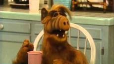 Alf meets grandma - Videoclip.bg