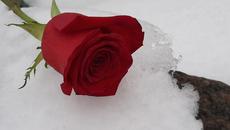 Юлия Михальчик - Метель... - Videoclip.bg