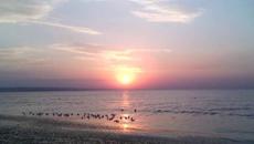 Една морска приказка с музика - Videoclip.bg