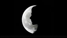 Agnes Obel - Won't You Call Me - Videoclip.bg