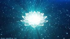 Arksi  -  Ще те чакам, любов (poetry) - Videoclip.bg