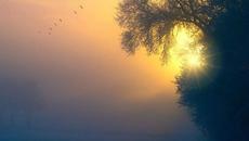 Днес е голяма задушница 6.03.2021! Да почетем починалите ни близки с песен - Алелуя ♥ Hallelujah - Videoclip.bg