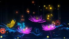 Lotus Flower Blooming Video Background With Butterfly - Videoclip.bg