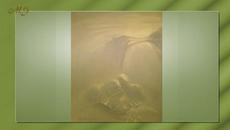 Неповторимост-Uniqueness - Videoclip.bg