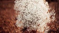 Малък градски флирт ♛ Del Shannon - Little Town Flirt ♛ПРЕВОД - Videoclip.bg