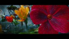 Fly my Wish - Edelis - Videoclip.bg