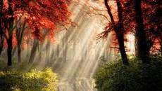 Richard Clayderman - Lyphard Melody - Videoclip.bg