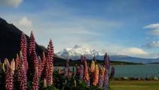 CONQUISTADOR- Agua - Videoclip.bg