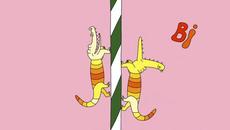 POLO & PAN — Ani Kuni (official video) - Videoclip.bg