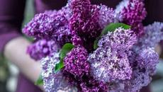 Обади се любов...ако искаш обади се! (Инструментал) - Videoclip.bg