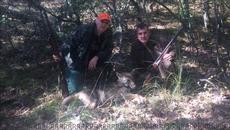 rumina_06 аз!! Sagi Sammy Wolf с въпрос: Кой бастиса вълка.. А ти кога ще престанеш!!? - Videoclip.bg