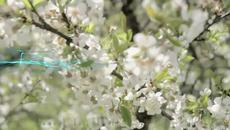 Паднал Ангел 2014 / Arash feat. Helena ♥ Broken Angel ♥ _Aligator vs.Remix - Videoclip.bg