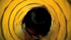 Не мога да спра !!! Red Hot Chili Peppers - Can't Stop - Videoclip.bg