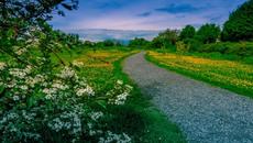 Път към природата ... (Nature Music by Sergey Chekalin) - Videoclip.bg