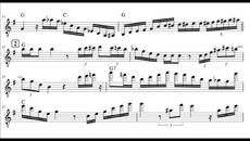 Django Reinhardt - Saint Louis Blues Transcription - Videoclip.bg