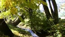 Хубава си моя горо - Бойчо  Иванов / Boycho Ivanov - Videoclip.bg