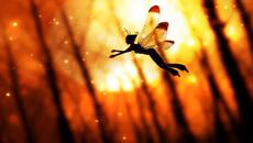 Танцуващи Илюзии  ~ ♛ Illumielle¨¨˜'°º★¸.•´★¸.•_´¨) - Videoclip.bg