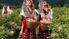 Вместо розобер в Казанлъшко унищожават розови градини - Videoclip.bg