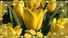 Легенда о желтом тюльпане /   Андрея Обидина  -  Две свечи - Videoclip.bg