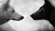 Победа ♛ Two Steps From Hell ♛ ╰⊱♡⊱╮Victory (Fantasy music) - Videoclip.bg