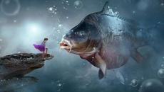 ♛ Чудеса Sia ~ Miracle (Music Video)╰⊱♡⊱╮♛ ПРЕВОД - Videoclip.bg