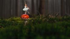 Крила - Thomas Bergersen - Wings (Remix) - Videoclip.bg