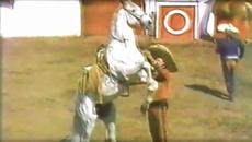 „Copitas de mezcal“ – Antonio Aguilar - Videoclip.bg