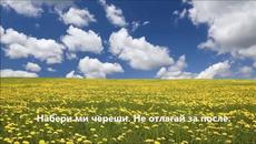 ЧЕРЕШОВА ЗАДУШНИЦА В СТИХОВЕ - Videoclip.bg