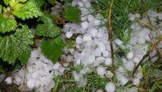 Ужасяваща градушка с огромни големина падна над Асеновград 25.06.2021 г. - Videoclip.bg