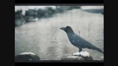 Scorpions - Yellow Raven - Videoclip.bg