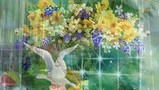 Лято е - Videoclip.bg