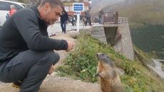 Лалугера Tristan позира пред камерата и се запозна с човека - Videoclip.bg