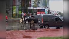 Най - невероятните срещи с диви животни в града - Videoclip.bg