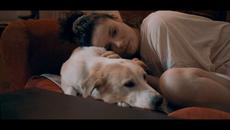 Aggelos Mpesas - Toksikoi Anthropoi - Official Music Video - Videoclip.bg