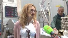 Те Победиха: Във фермата на Иван Ангелов - свободно отглеждани кокошки, автор: Валентина Спасова - Videoclip.bg