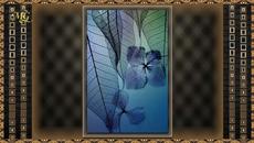 Ephemeral beauty - Videoclip.bg