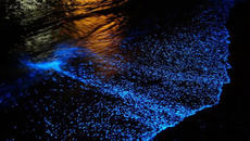 Света стана син - Танца на светулките - Videoclip.bg