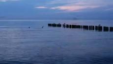 Kombi - Przytul mnie(poland 1980 ) - Videoclip.bg