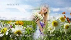 Събуждане ... Добро утро слънце!!! - Videoclip.bg