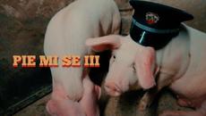 Marso x Bobkata x Tsvetina - Pie mi se III (Official Video) Prod by Todorov - Videoclip.bg