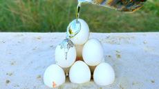 Experiment: Molted Lead vs Eggs. Will They Survive? - Videoclip.bg